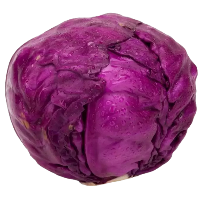 CABBAGE RED 1 kg