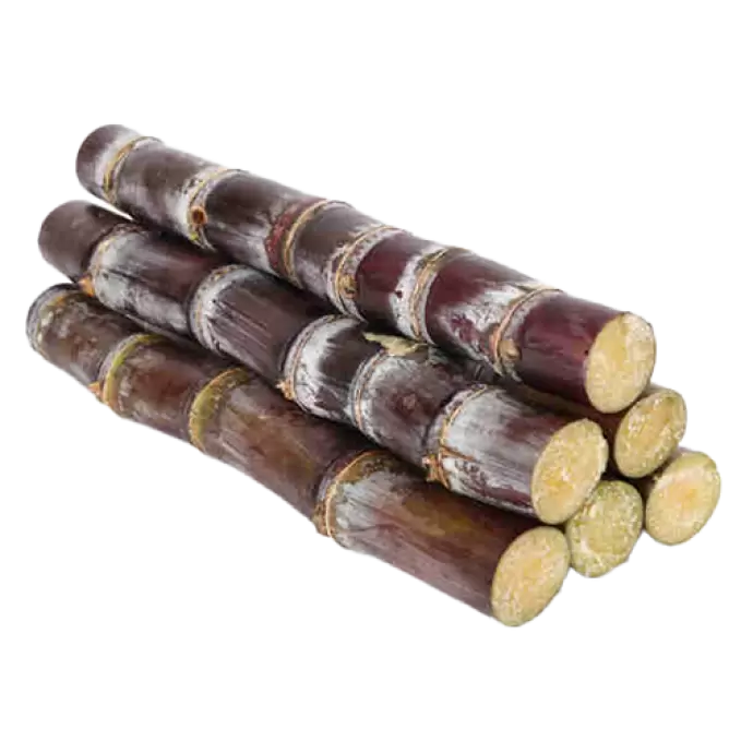 KARUMBU CUT PCS/SUGAR CANE 1 pcs