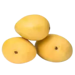 Mango banganapalli