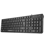 Zebronics multimedia keyboard k60